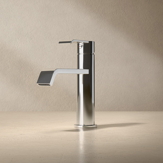 Tvättställsblandare Loxia Låg Blank Rostfri