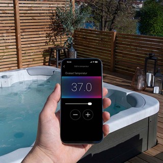 Wifi Modul Balboa Control-My-Spa