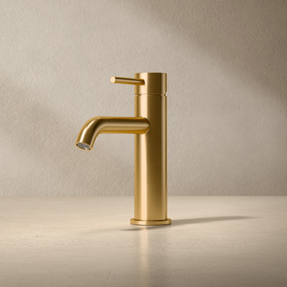 Tvättställsblandare Corax Låg Borstad Mässing