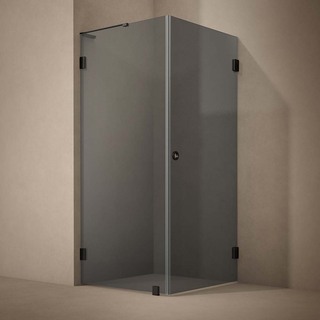 Duschhörn Combi Lynx Sotat Glas 100X100 Cm Svart