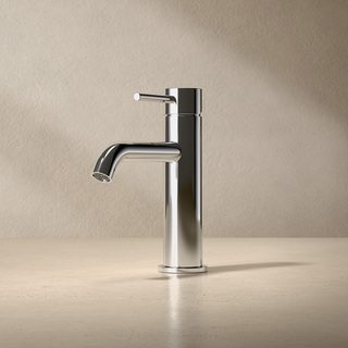 Tvättställsblandare Corax Låg Blank Rostfri